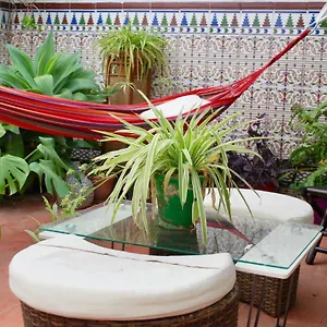 https://backpacker-al-katre.es-andalucia.com